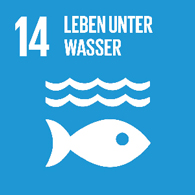 UN Goal - 14 - Leben unter Wasser