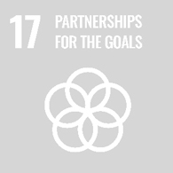 UN Goal - Partnerships for the goals