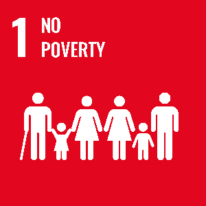 UN Goal - No poverty
